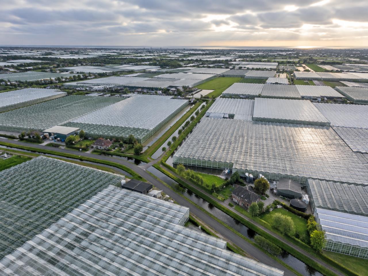 Luchtfoto van kassengebied in het Westland in de avond